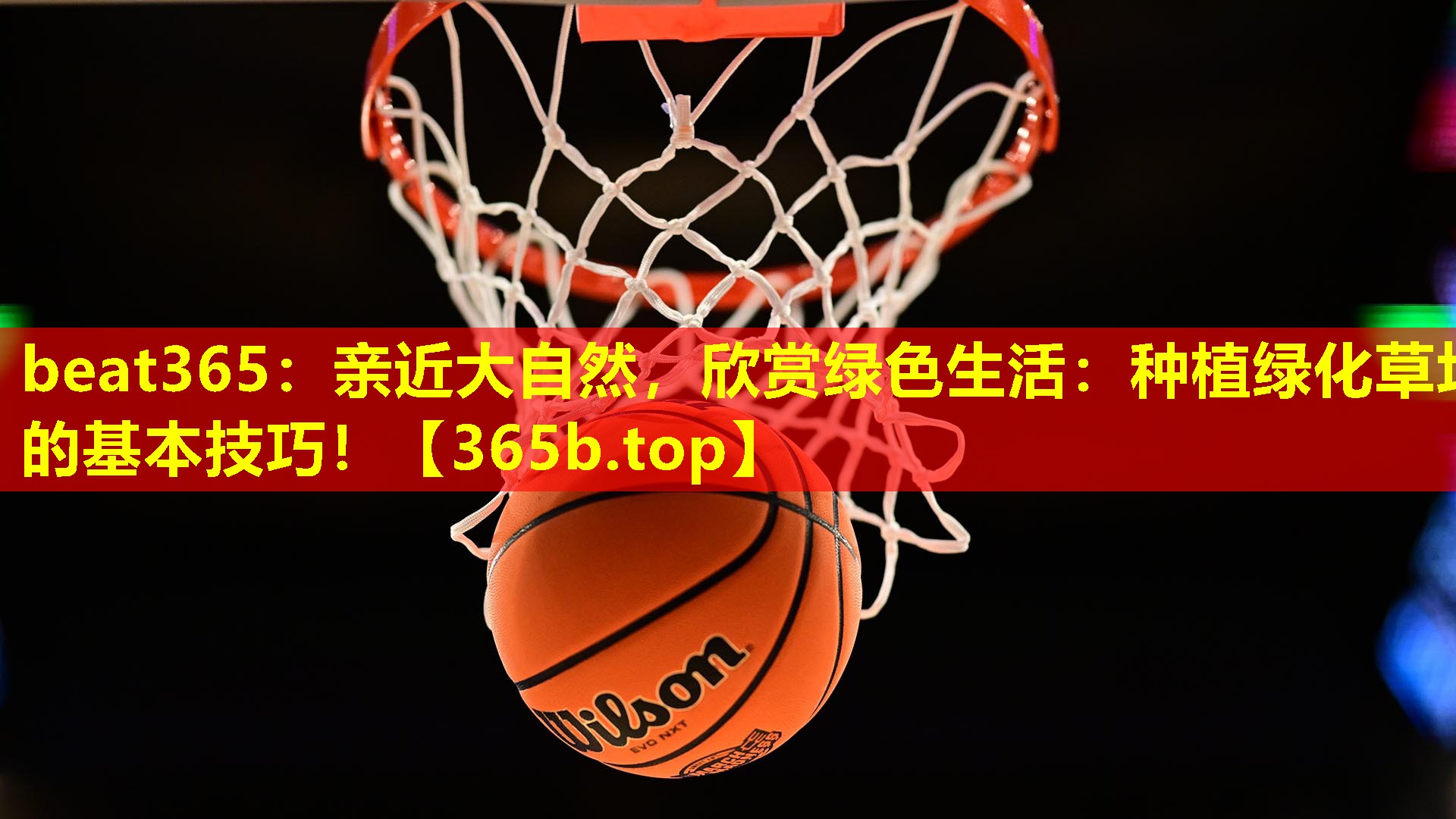 亲近大自然,欣赏绿色生活:种植绿化草坪的基本技巧! 亲近大自然,欣赏绿色生活:种植绿化草坪的基本技巧!