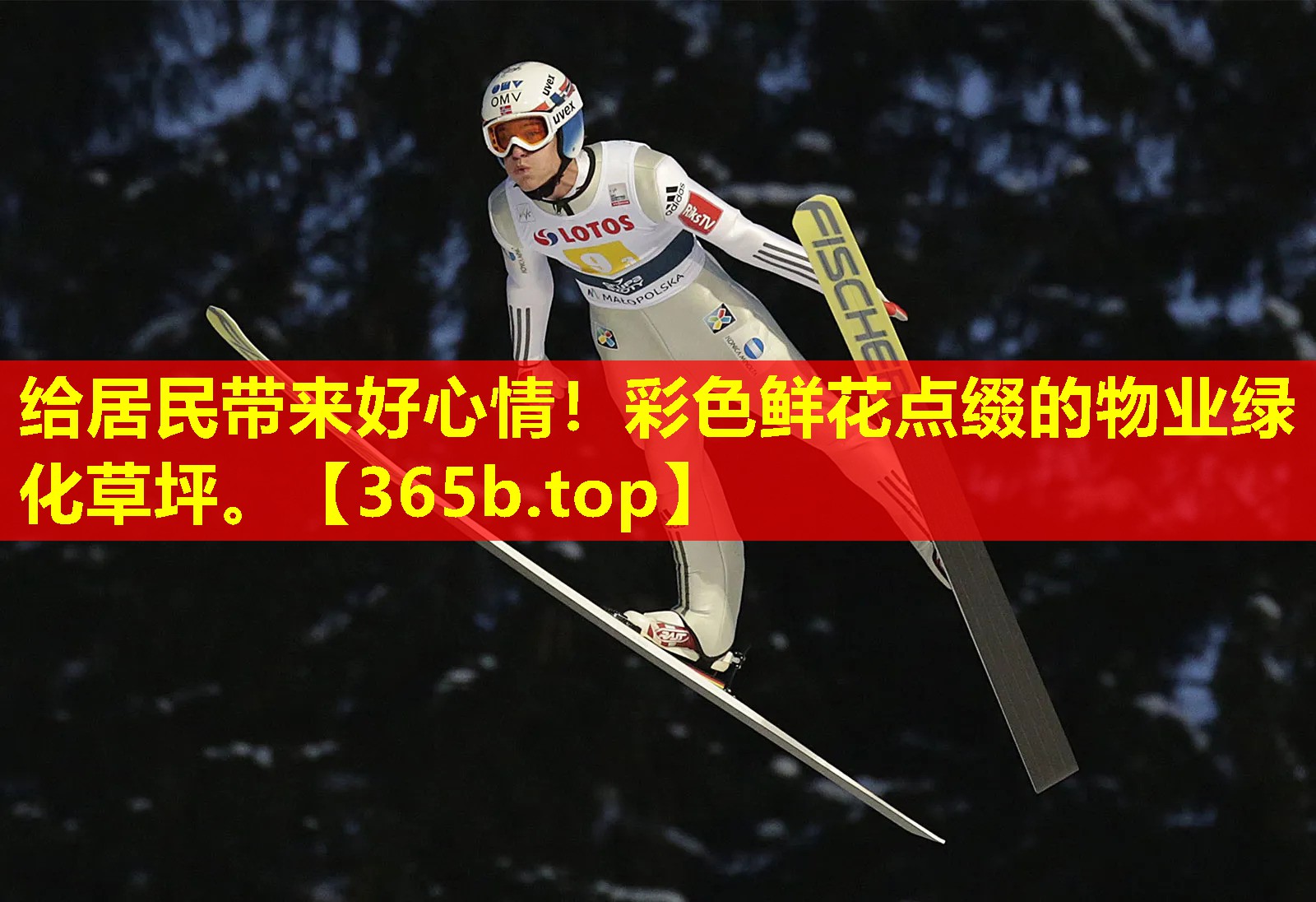 给居民带来好心情!彩色鲜花点缀的物业绿化草坪。 给居民带来好心情!彩色鲜花点缀的物业绿化草坪。