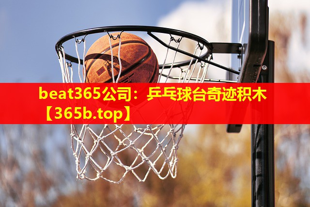 乒乓球台奇迹积木 乒乓球台奇迹积木